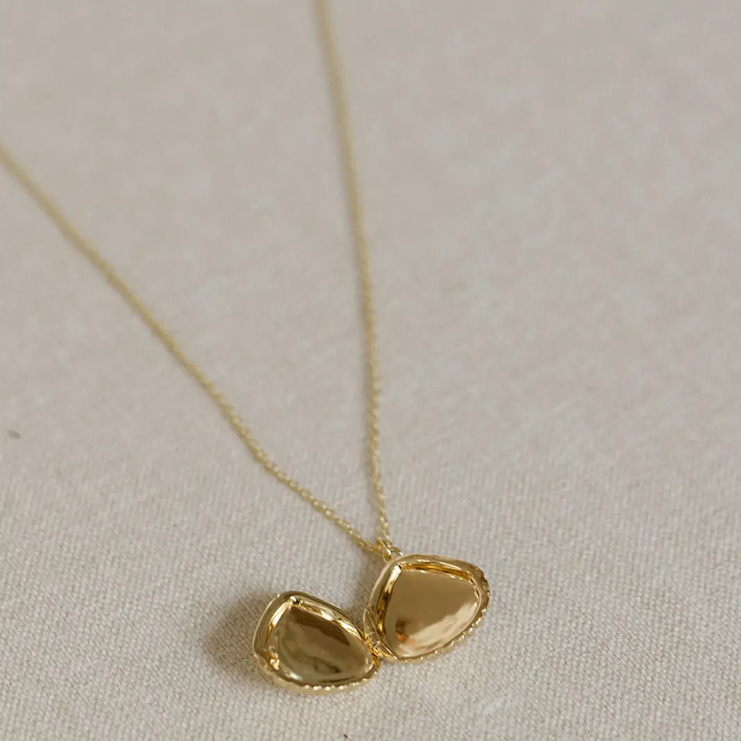 seashell locket
