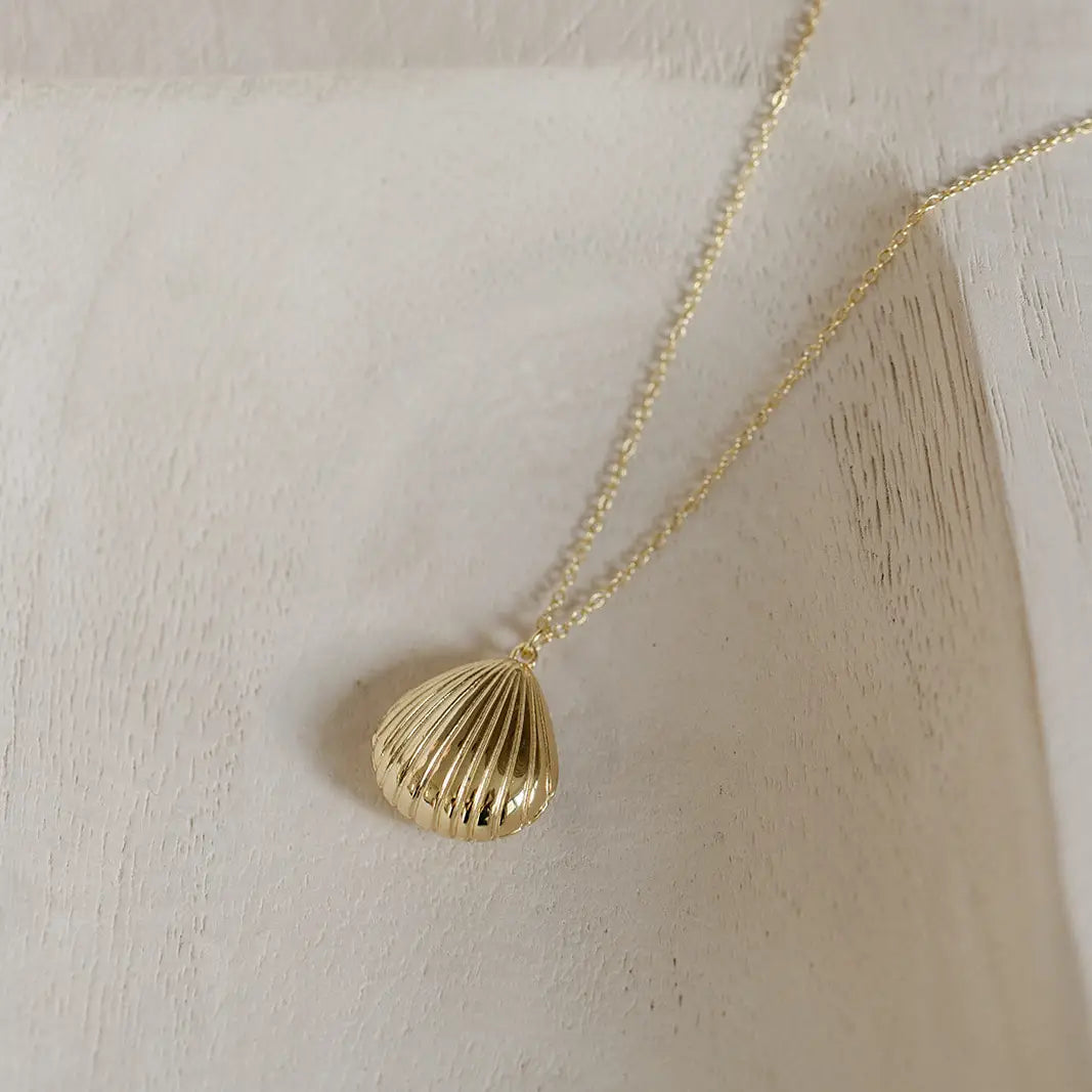 seashell locket