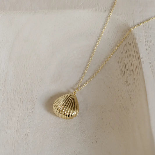 seashell locket